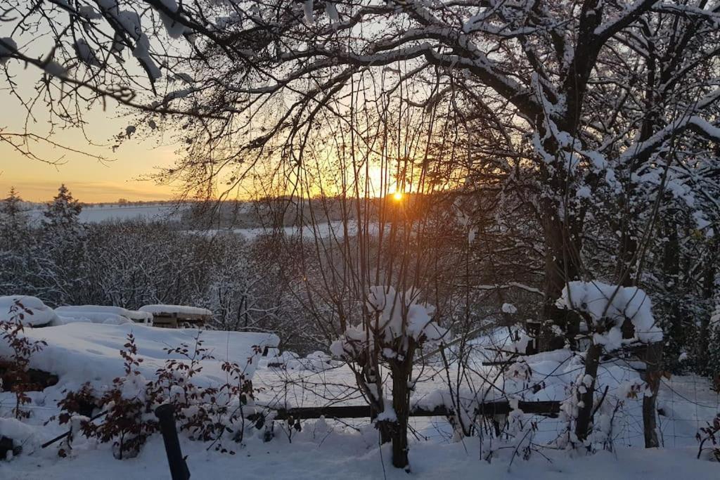 Apartment Belka Am Rursee Simmerath